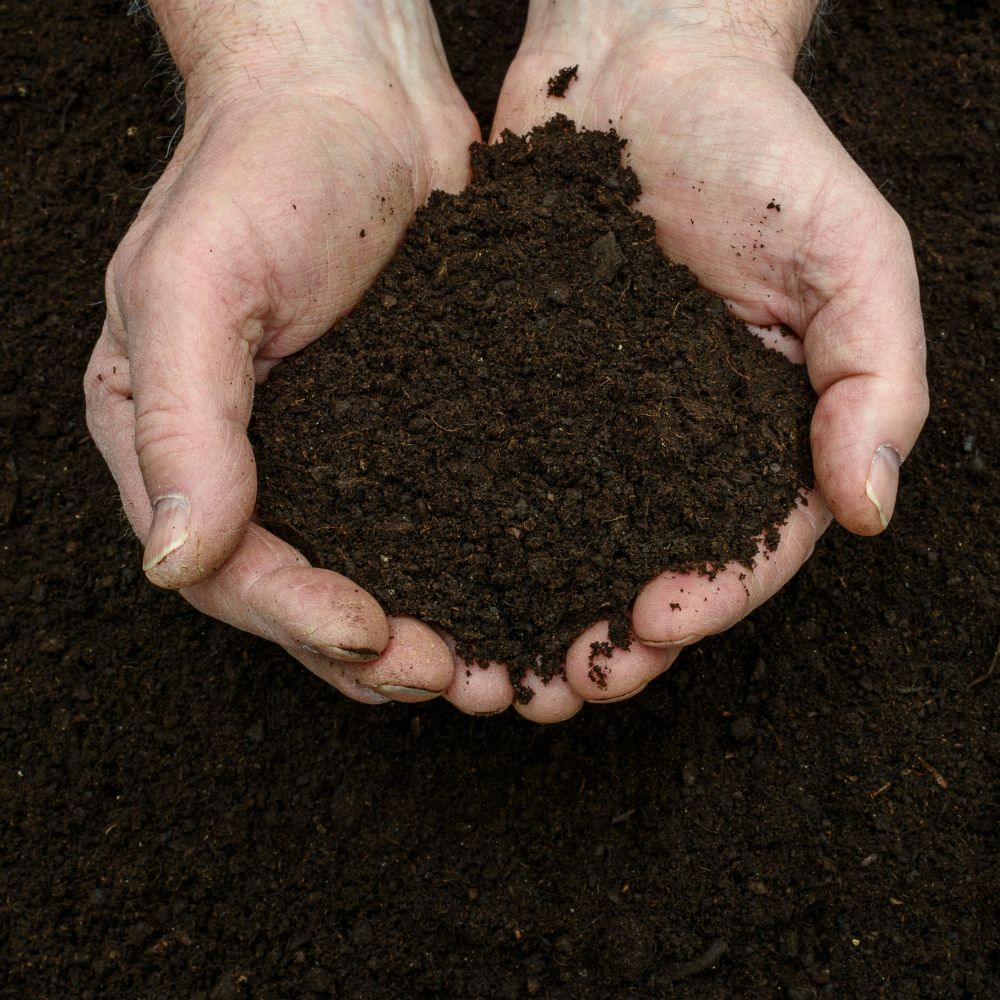 4 Simple and Creative Things to Do with Your Used Coffee Grounds